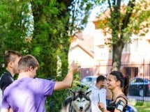 Expoziţie de frumuesţe canină