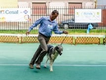 Expoziţie de frumuesţe canină