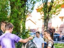 Expoziţie de frumuesţe canină