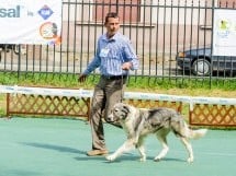 Expoziţie de frumuesţe canină