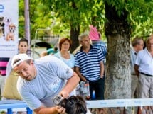 Expoziţie de frumuesţe canină