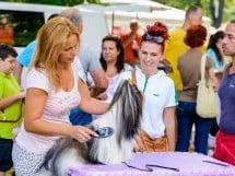 Expoziţie de frumuesţe canină