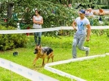 Expoziţie de frumuesţe canină