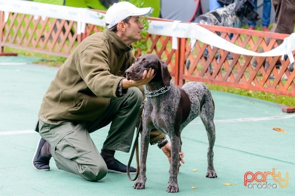 Expoziţie de frumuseţe canină, Oradea