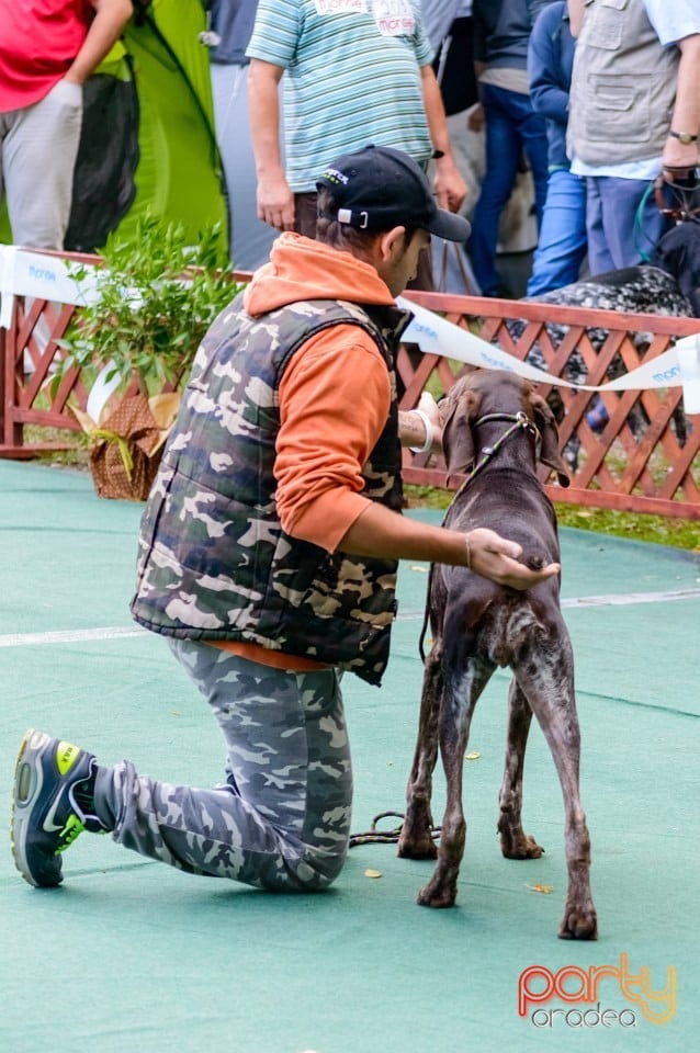 Expoziţie de frumuseţe canină, Oradea