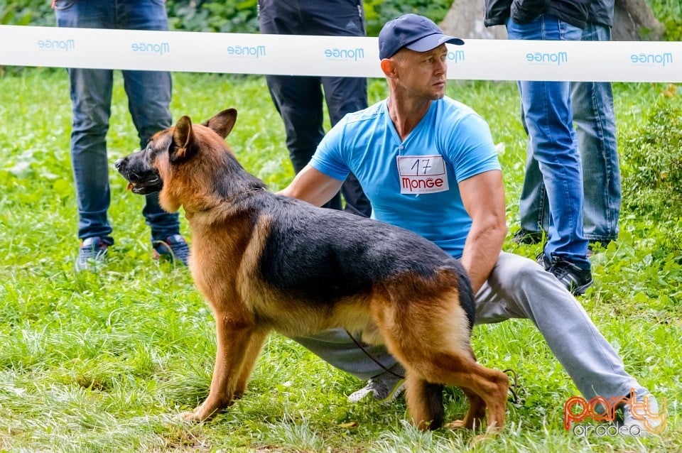 Expoziţie de frumuseţe canină, Oradea