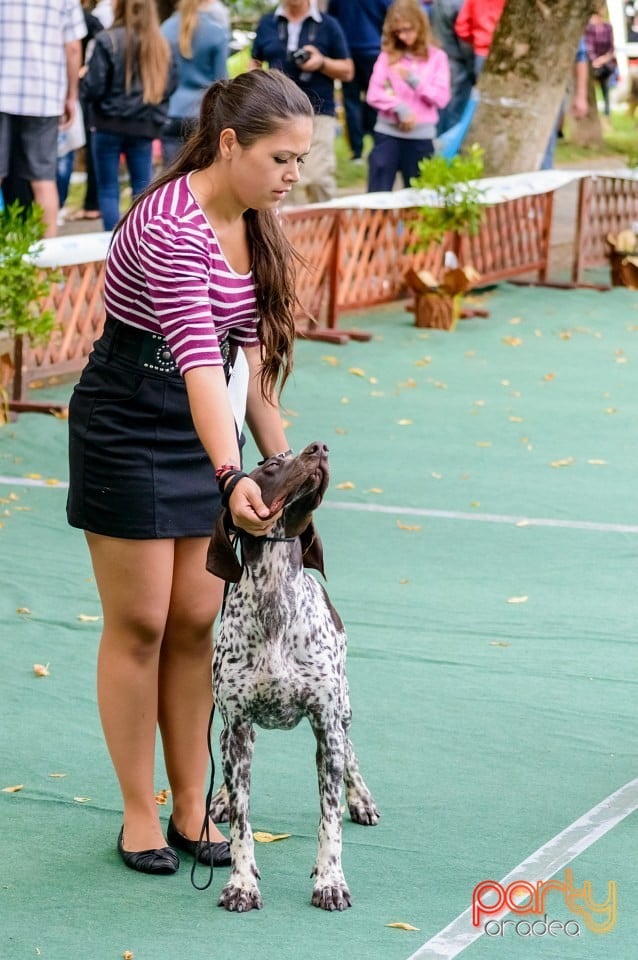 Expoziţie de frumuseţe canină, Oradea