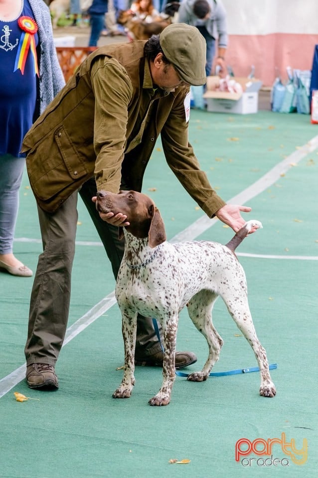 Expoziţie de frumuseţe canină, Oradea