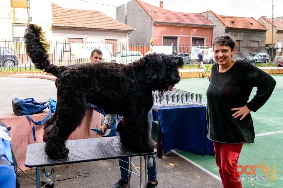 Expoziţie de frumuseţe canină, Oradea