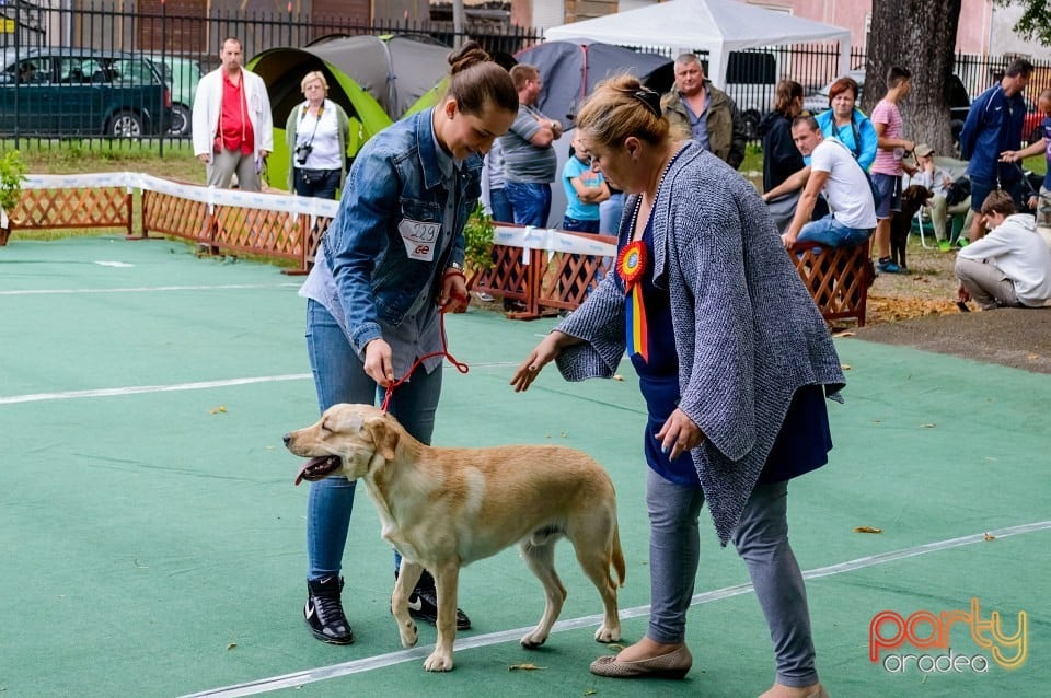 Expoziţie de frumuseţe canină, Oradea