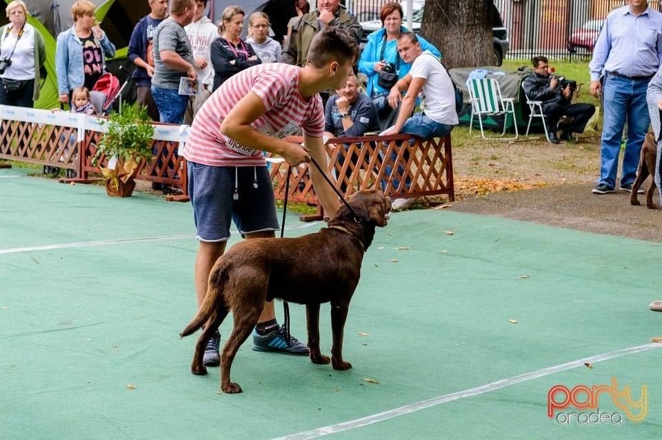 Expoziţie de frumuseţe canină, Oradea