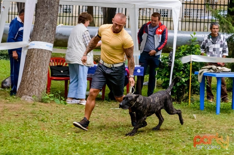 Expoziţie de frumuseţe canină, Oradea