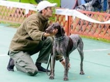 Expoziţie de frumuseţe canină