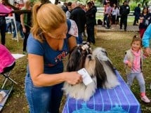 Expoziţie de frumuseţe canină