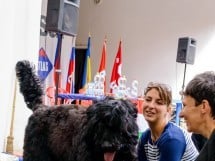 Expoziţie de frumuseţe canină