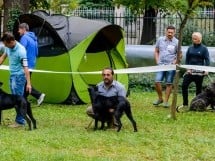 Expoziţie de frumuseţe canină