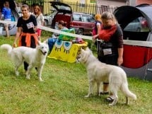 Expoziţie de frumuseţe canină