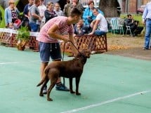 Expoziţie de frumuseţe canină