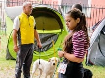 Expoziţie de frumuseţe canină