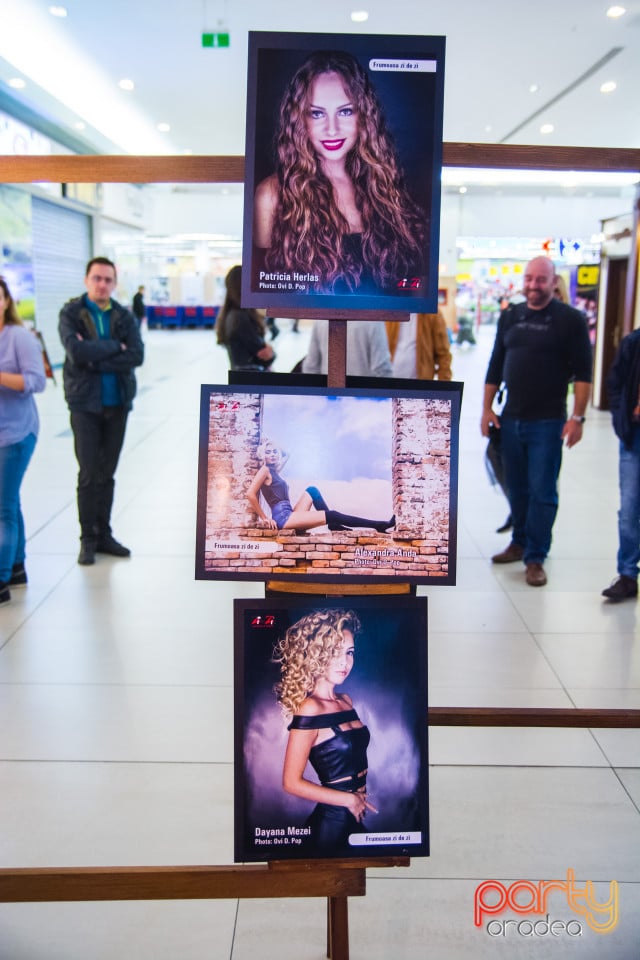 Expoziție FOTO