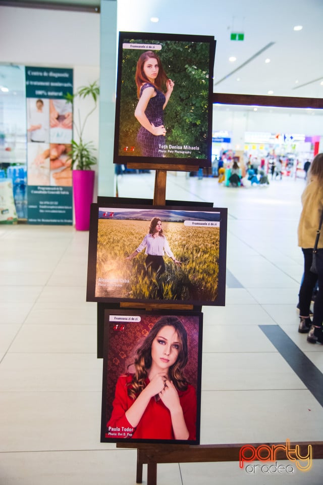 Expoziție FOTO