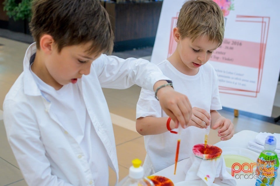 Fabrica de Experimente, Lotus Center