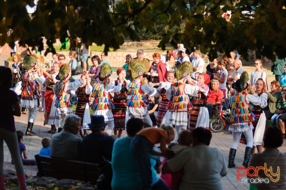 Fanfara Garnizoana Bistriţa, Oradea