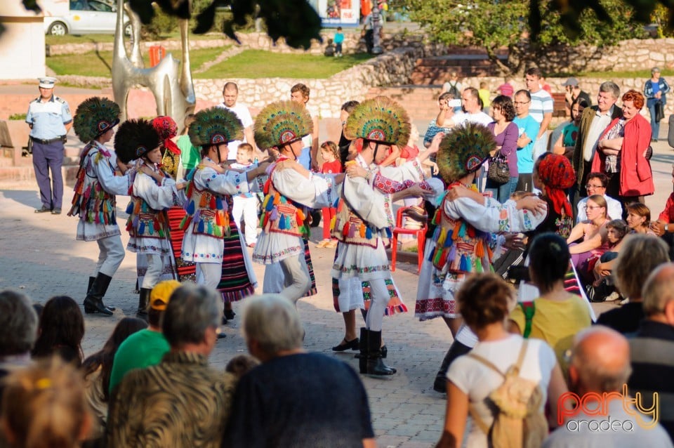 Fanfara Garnizoana Bistriţa, Oradea