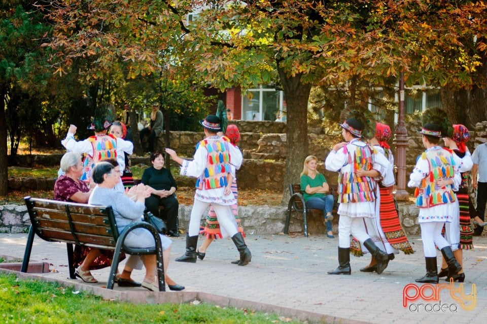 Fanfara Garnizoana Bistriţa, Oradea