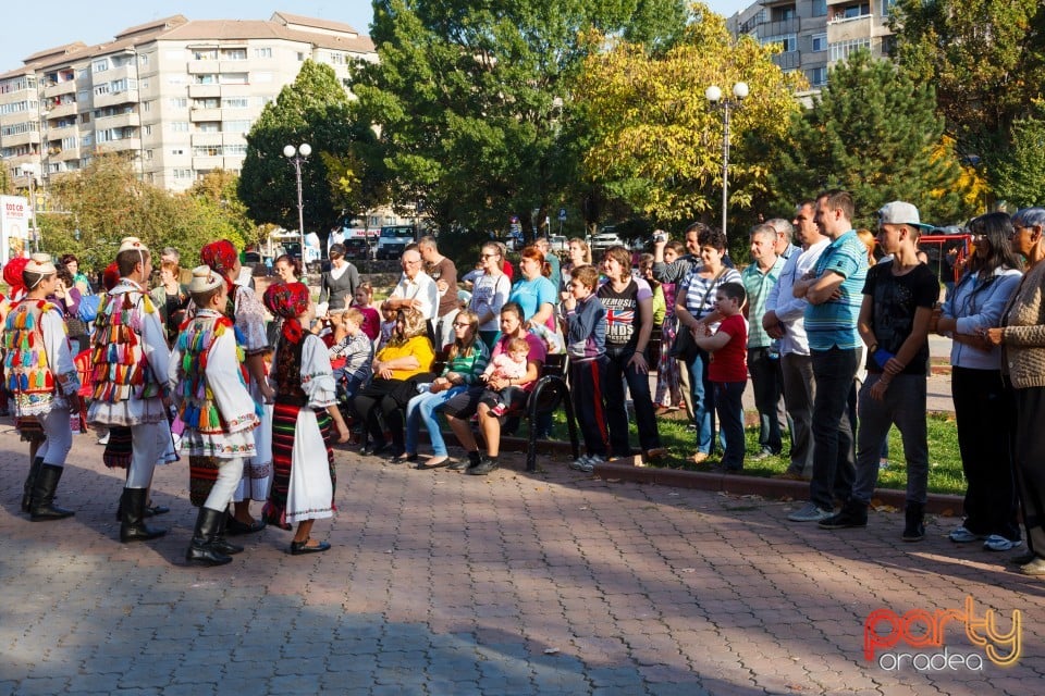 Fanfara Garnizoana Bistriţa, Oradea