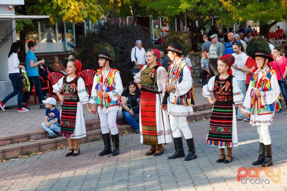 Fanfara Garnizoana Bistriţa, Oradea