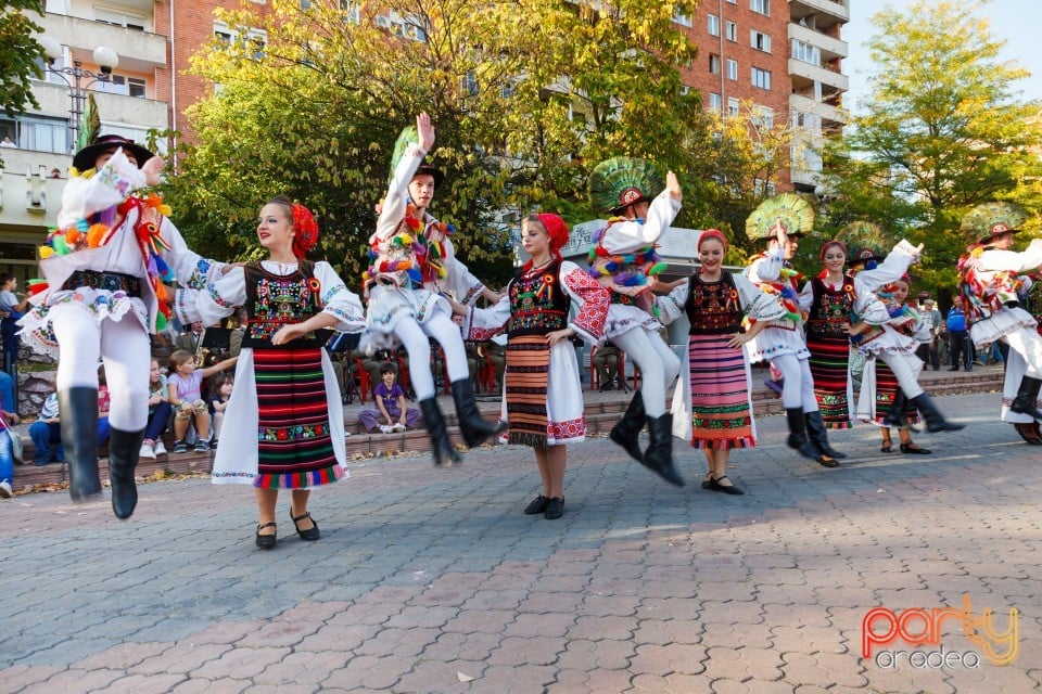 Fanfara Garnizoana Bistriţa, Oradea