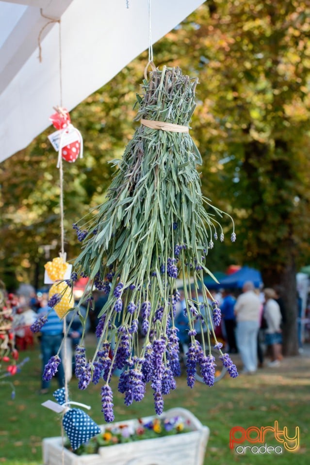 Fanfara Ministerului Apărării Naţionale, Oradea