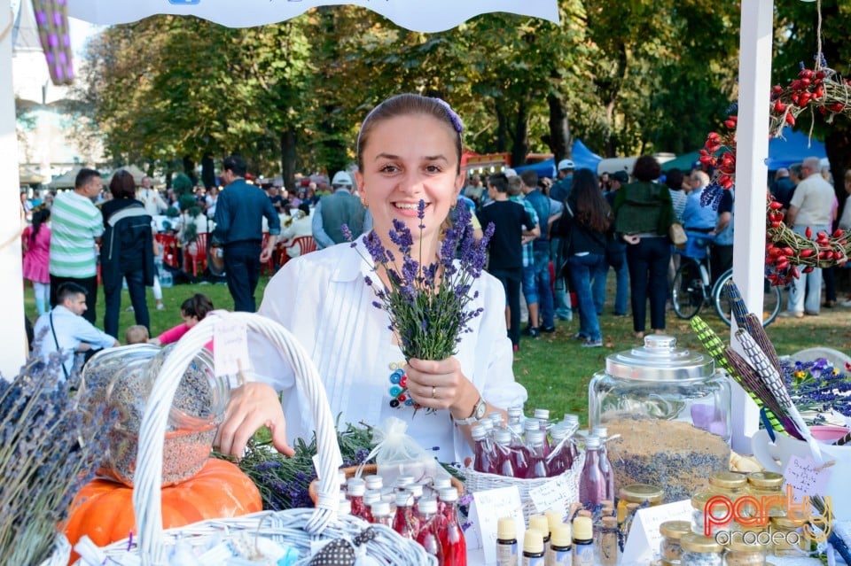 Fanfara Ministerului Apărării Naţionale, Oradea