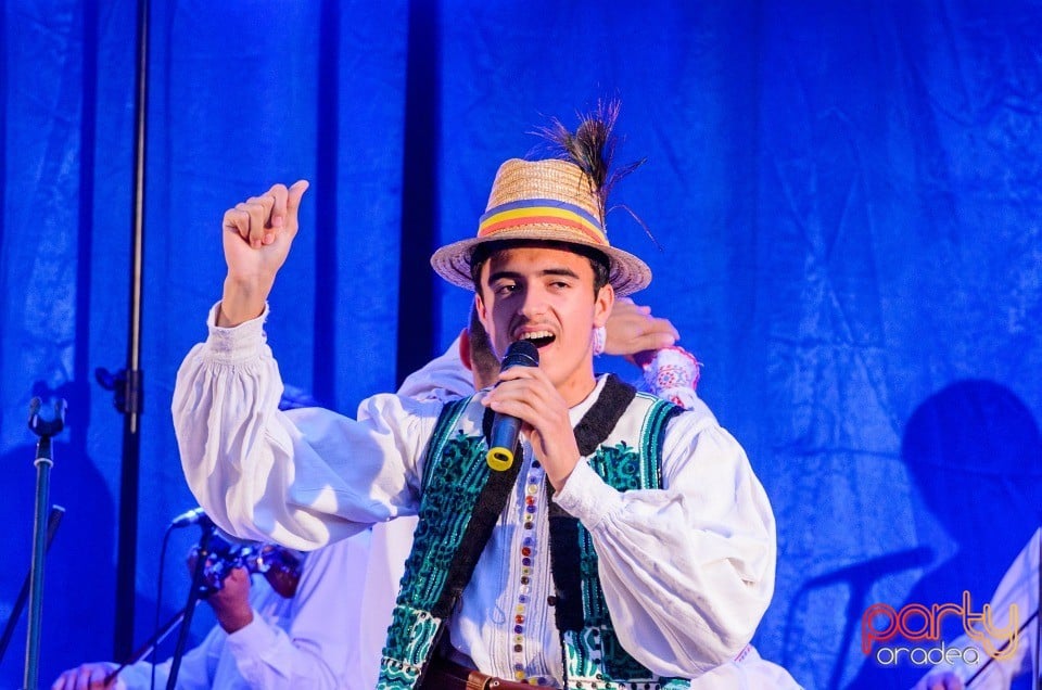 Festival în Parcul Bălcescu, Oradea
