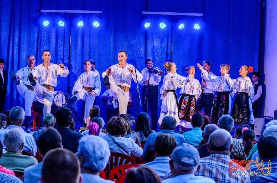 Festival în Parcul Bălcescu, Oradea