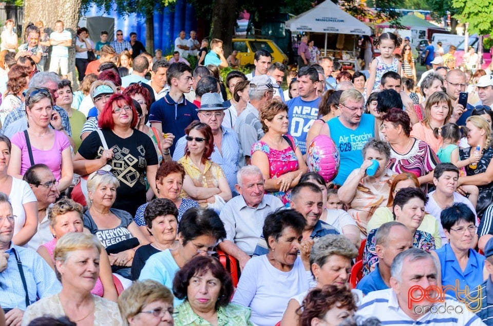 Festival în Parcul Bălcescu, Oradea