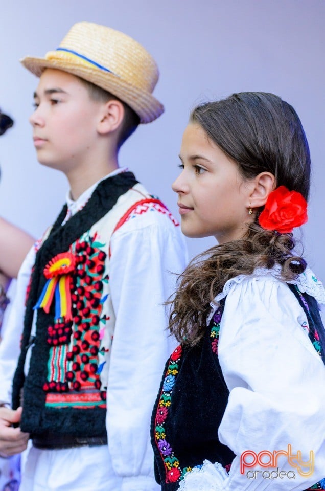 Festival în Parcul Bălcescu, Oradea