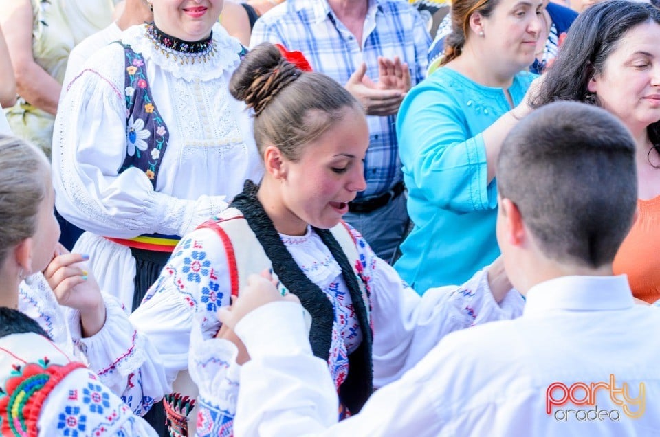 Festival în Parcul Bălcescu, Oradea