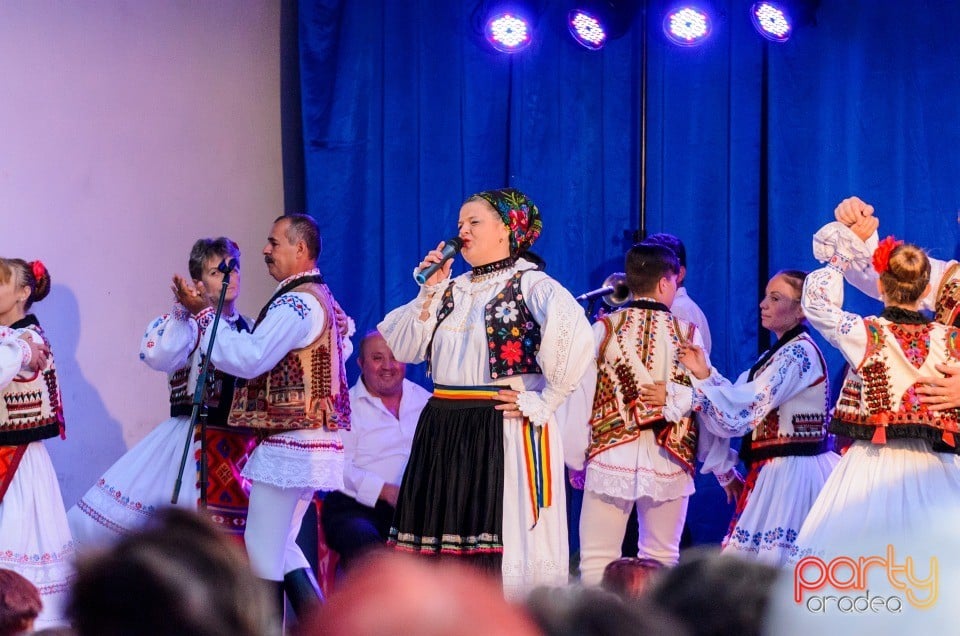 Festival în Parcul Bălcescu, Oradea