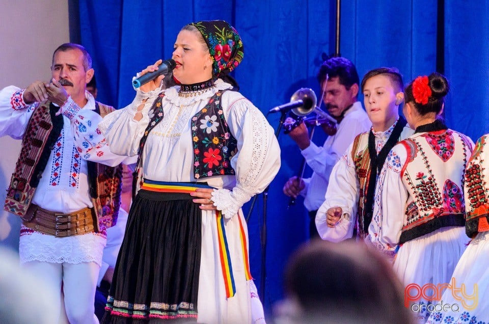 Festival în Parcul Bălcescu, Oradea