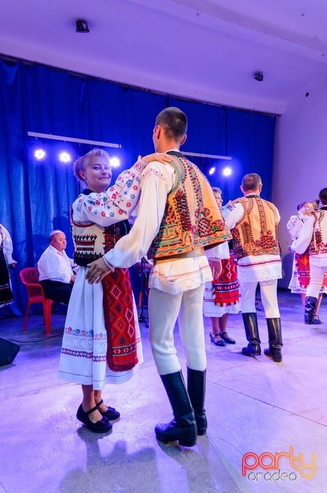 Festival în Parcul Bălcescu, Oradea