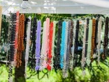 Festival în Parcul Bălcescu
