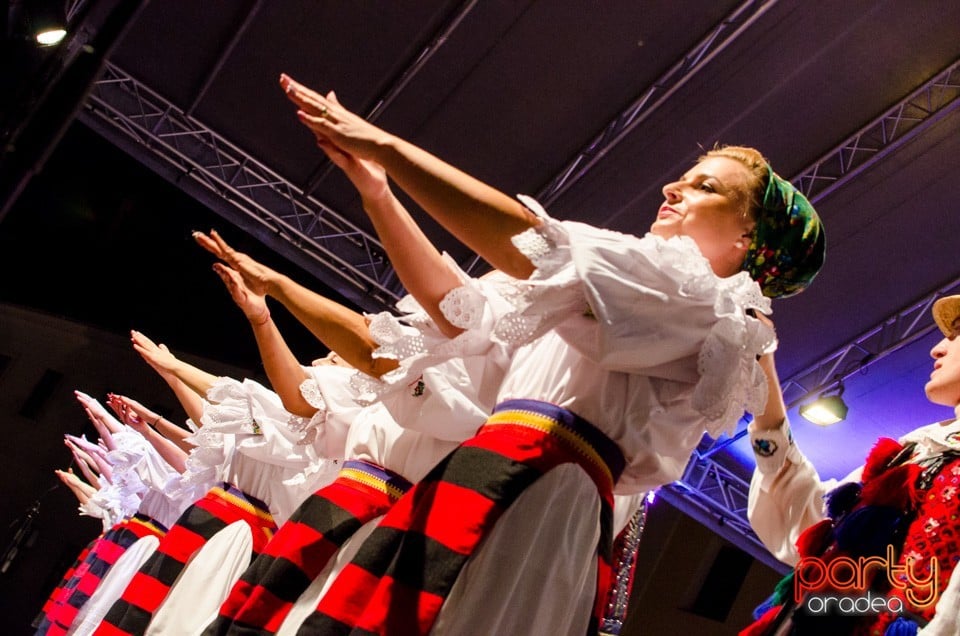 Festival International de Folclor, Cetatea Oradea