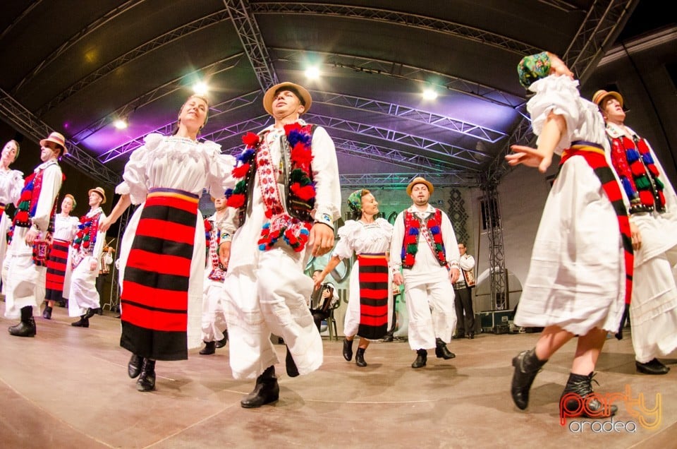 Festival International de Folclor, Cetatea Oradea