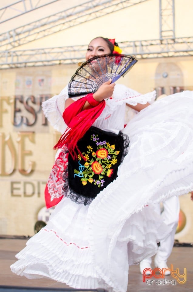 Festival International de Folclor, Cetatea Oradea