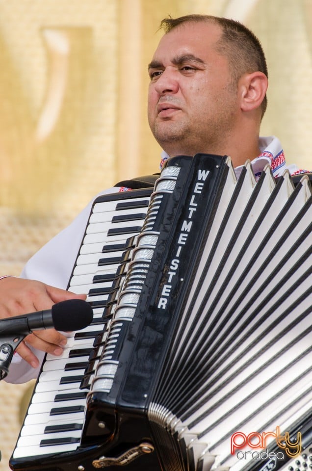 Festival International de Folclor, Cetatea Oradea