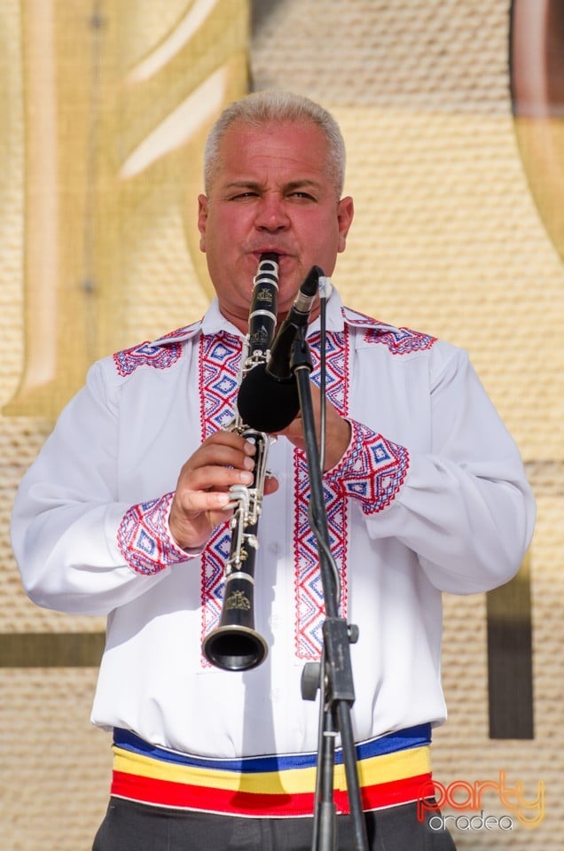 Festival International de Folclor, Cetatea Oradea