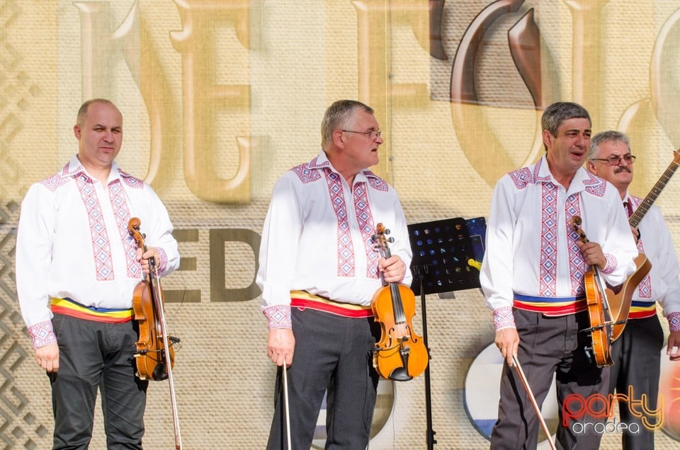 Festival International de Folclor, Cetatea Oradea