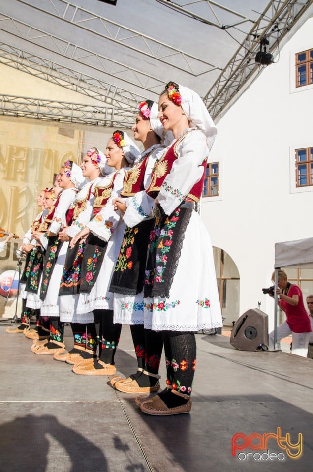 Festival International de Folclor, Cetatea Oradea